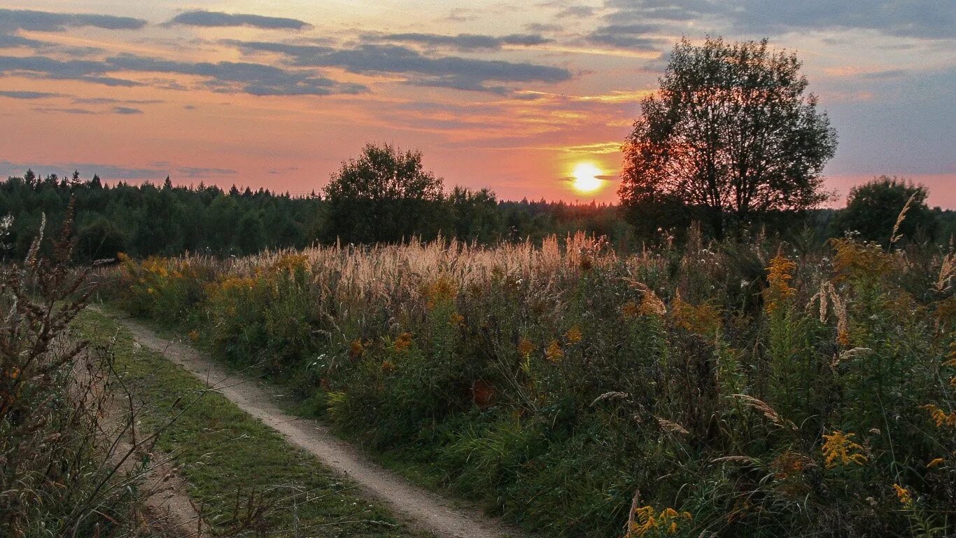 13 летний вечер. Летний вечер в деревне. Закат в деревне Эстетика. Эстетика деревни летом. Летняя ночь в деревне.