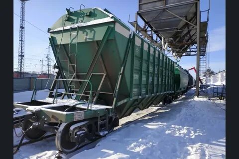 Зерно новосибирск