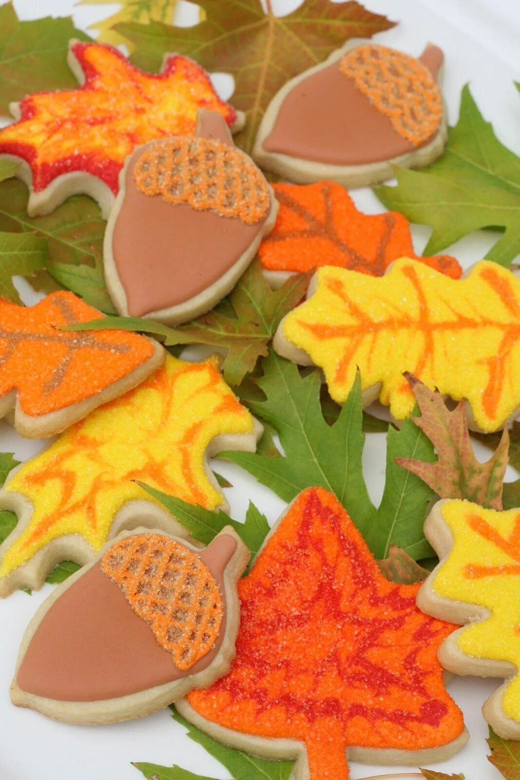 Natural white boy обложка. Роспись пряников осень. Вид замерзшей клубники. Pumpkin baby shower cookies. Печенье на праздник осени.