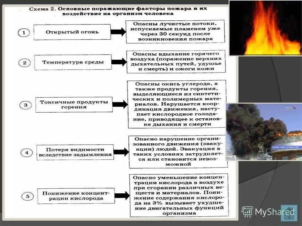 Защита от продуктов горения. Факторы горения пожара. Причины пожара. Виды и причины пожаров. Причины возникновения пожаров.