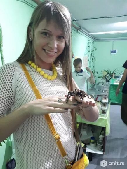 Выставка насекомых воронеж. Название выставки про насекомых. Выставка ярмарка насекомых. Выставка насекомых в воронеже. Ц.