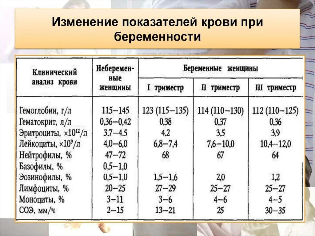 Норма анализа крови при беременности 1 триместр. Гемоглобин при беременности норма 1 триместр. Нормы анализа крови у беременных 2 триместр. Гемоглобин при беременности норма 1 триместр таблица.