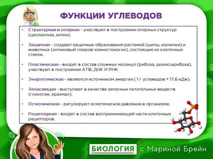 Неофемили банк заданий