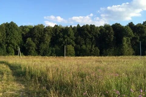 Рыбалка в верзилово каширский