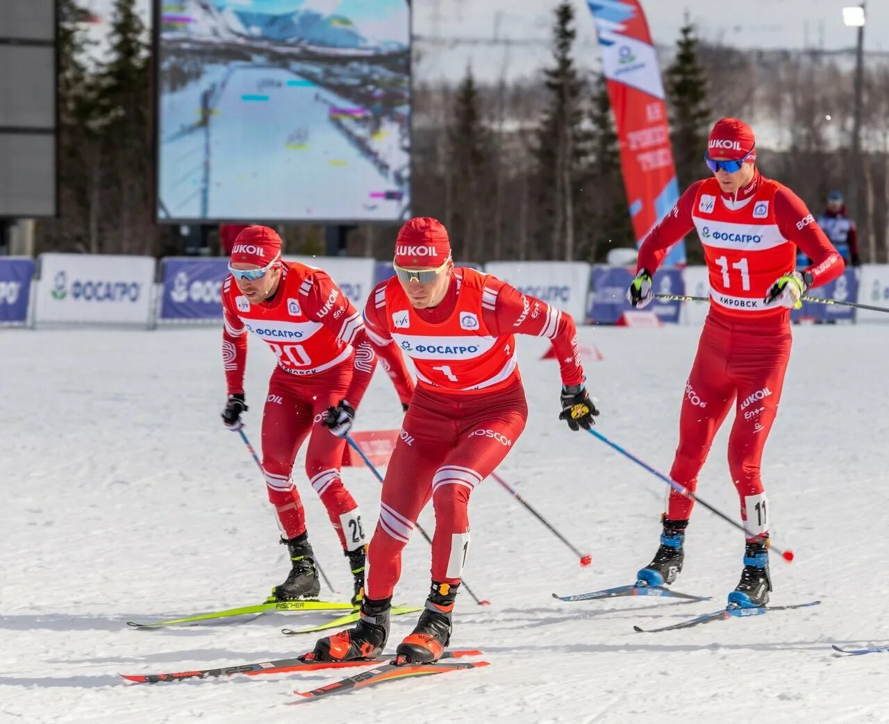 Чр по лыжным гонкам 2025 2025. Лыжные гонки. олимпийские чемпионы по лыжным гонкам. кировск лыжные гонки. лыжник фото.