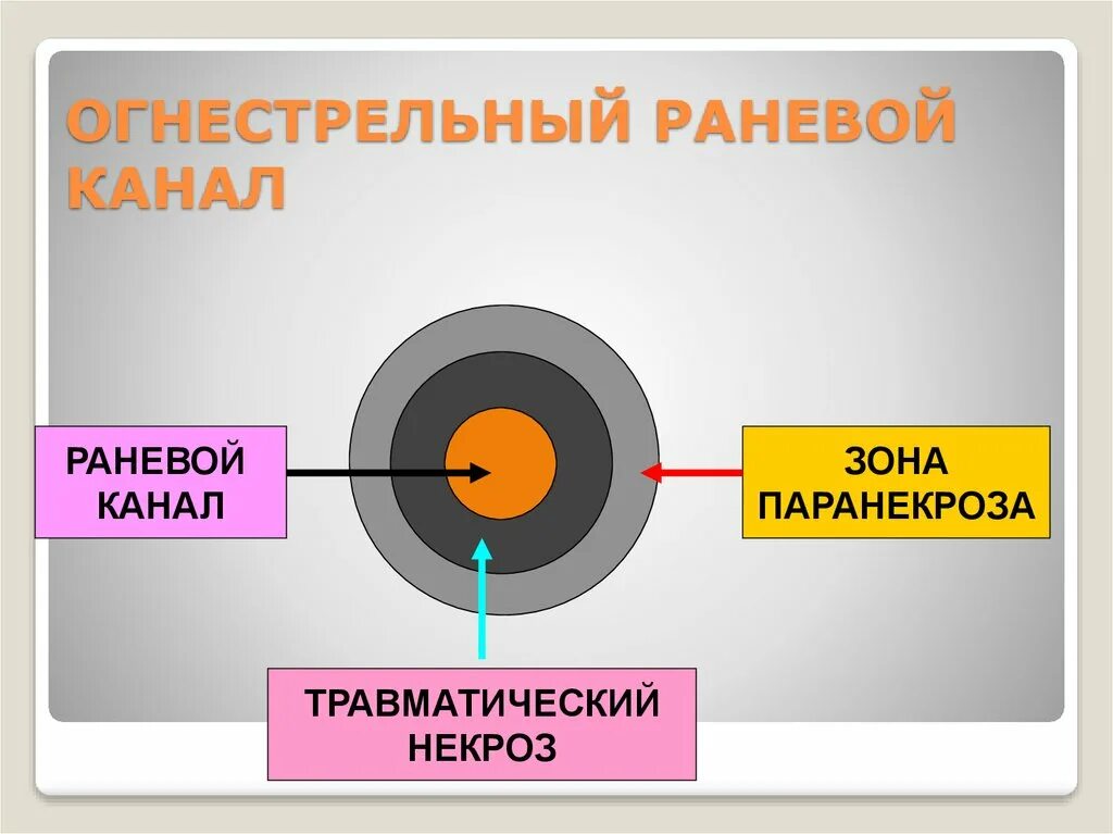Зоны огнестрельного ранения. Зоны огнестрельной раны. зоны огнестрельной раны схема.