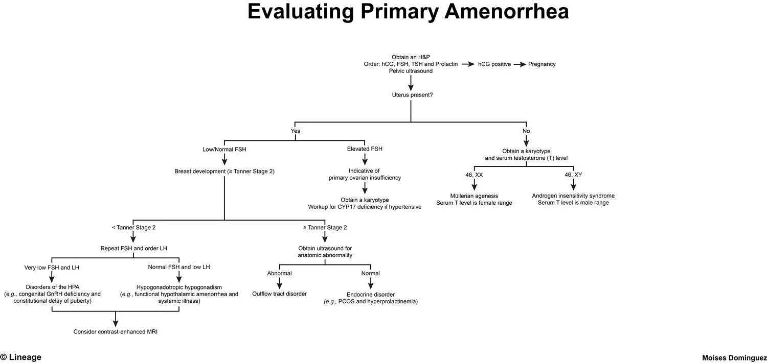 Order to obtain. It архитектура order to cash. Order to obtain. Dispatch workflow process. Order to obtain.