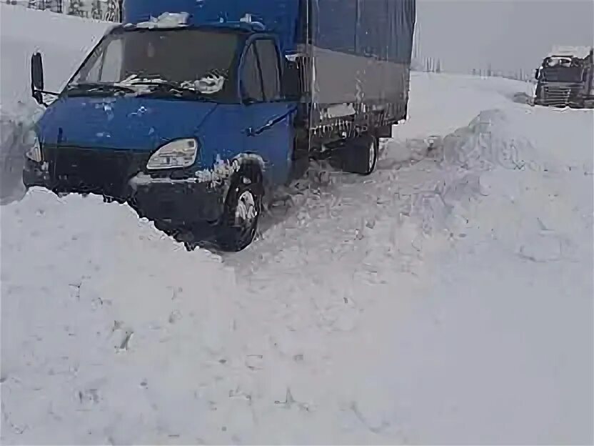 Водители автоколонны 1377 балашиха. Газель некст 4 метра рефрижератор. Авито водитель щелково. Трасса курганинск армавир. Мерседес 814 5ти тонник.