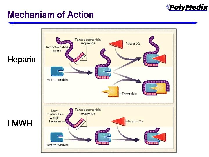 Mechanism of action. Heparin mechanism. Heparin mechanism of Action. Mechanism of Action of unfractionated and Low Molecular Weight Heparin. Антитромбин 3 схема.