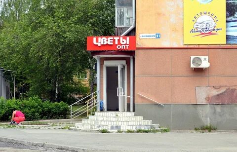 Цветы ревда
