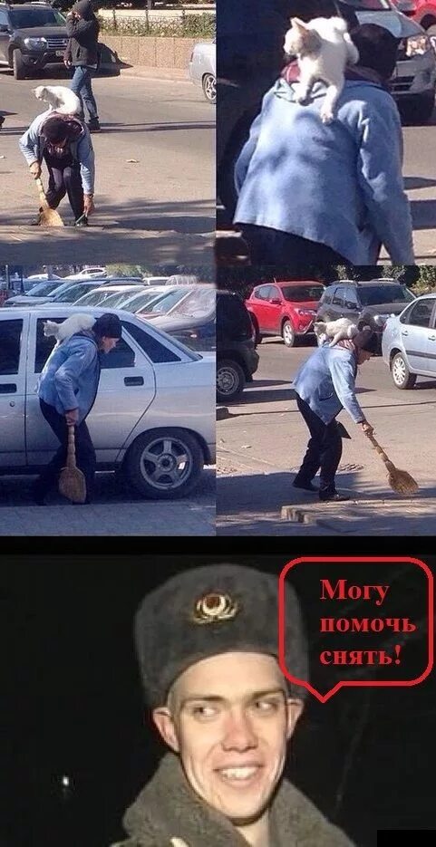 Спасение кота солдатом. Спасение кота барсика. солдат спас кота барсика. солдат спасает кота мем. спасти рядового барсика мем.