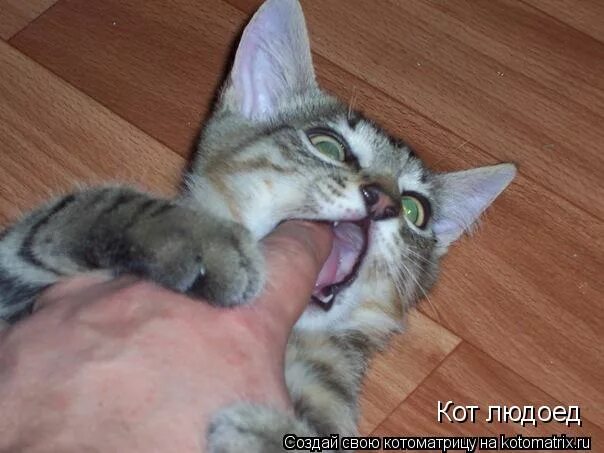 замок людоеда кот в сапогах. кот в сапогах сказка людоед. кот в сапогах великан людоед. книга кот в сапогах. великан людоед из кота в сапогах.