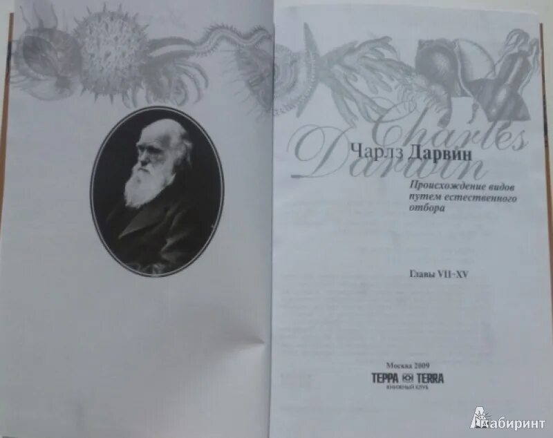 Происхождение видов 69 на русском. Происхождение видов путём естественного отбора. книга происхождение видов 2 том.