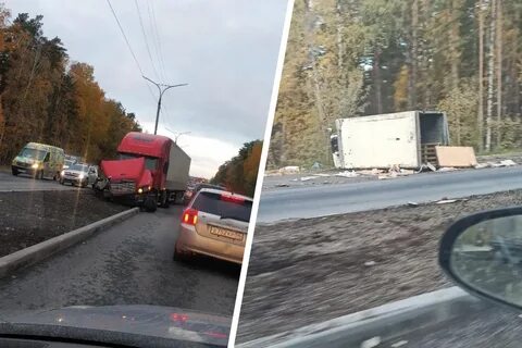 Нгс бердск