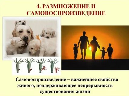 Размножение важнейшее