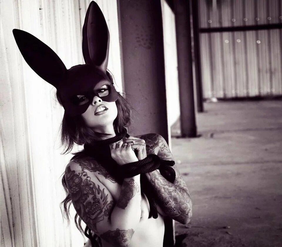 Тоухоу проджект рейзен удонгейн. Парень девочки зайки. Май сакурадзима и сакута азусагава. Сакута азусагава. Красивые девушки в костюме зайки.