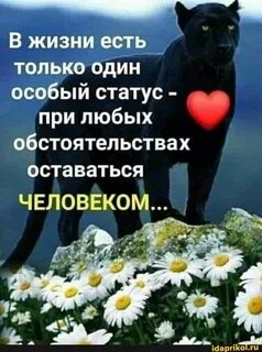 Остаться человеком 2020