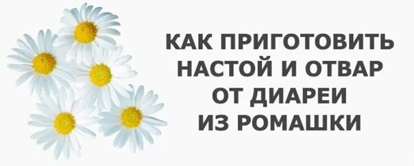 Ромашка при диарее можно. Ромашка от диареи. отвар ромашки при поносе. ромашка при поносе у ребенка. настой ромашки от поноса ребенку.