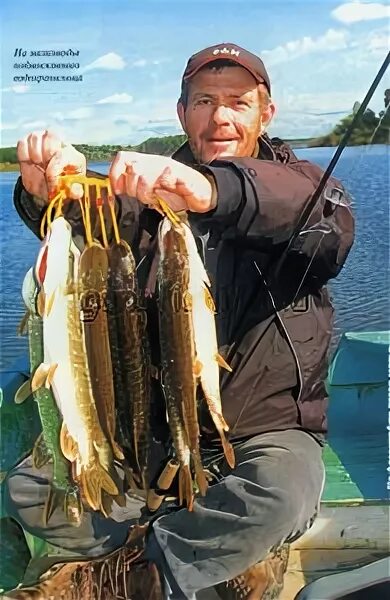 Спиннинг в дугу. Рыбалка в лазаревском на море с берега на спиннинг видео. Рыбалка на сбирулино. Базбейт приманка рыболовная. Монтаж попла поппера на красноперку.