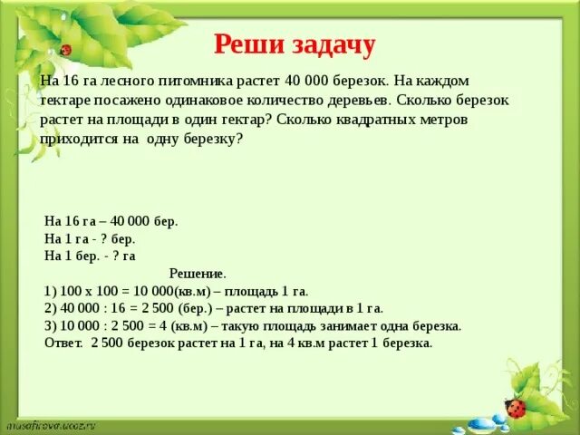 Школьники должны были посадить 200 деревьев они. Задачи с гектарами. Ары и гектары задачи. Задачи на гектары 5 класс. Задачи на гектары 4 класс.