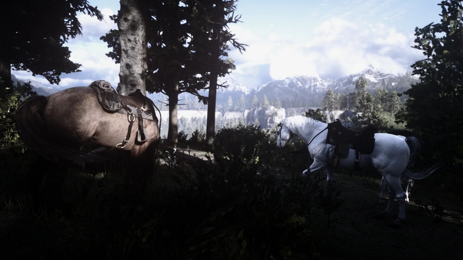 Red dead redemption 2 directx. Red dead redemption 2 reshade. aeonic reshade — the witcher 3. red dead redemption 2 реализм. red dead redemption 2 rx 6600 xt.