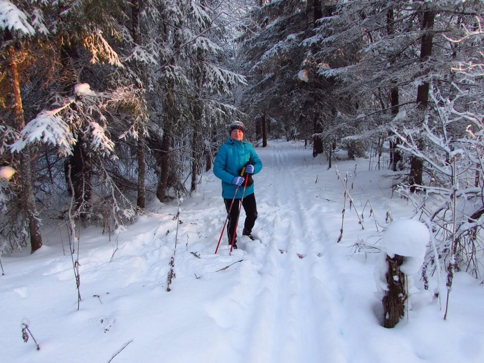 Унылая пора очей очарованье стихотворение пушкина. Уходим все дальше в лес. Уходим все дальше в лес в синеватую мглу. Около лесной опушки росли синие цветы. Одиночество бунин 1903.