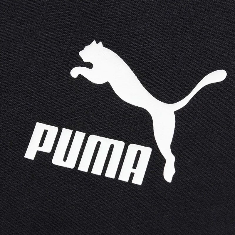 Пума логотип. Пума пума марка. puma значок. табличка пумы. пума бренд логотип.