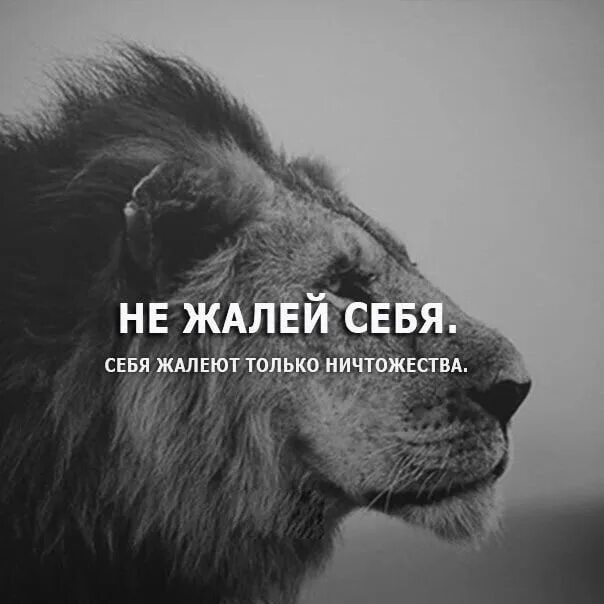 Не жалуйся не проси. Не жалеть себя цитаты. Не жалей себя цитаты. Никогда не жалей себя цитаты. Хватит себя жалеть цитаты.