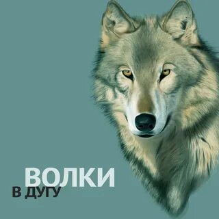 Слушать песни волки ауф