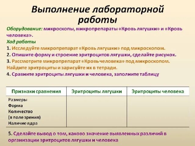 Лабораторная работа сравнение крови лягушки и человека. Лабораторная работа изучение микроскопического строения крови. Лабораторная работа кровь человека и лягушки. Вывод эритроциты человека и лягушки. Таблица эритроциты человека и лягушки.