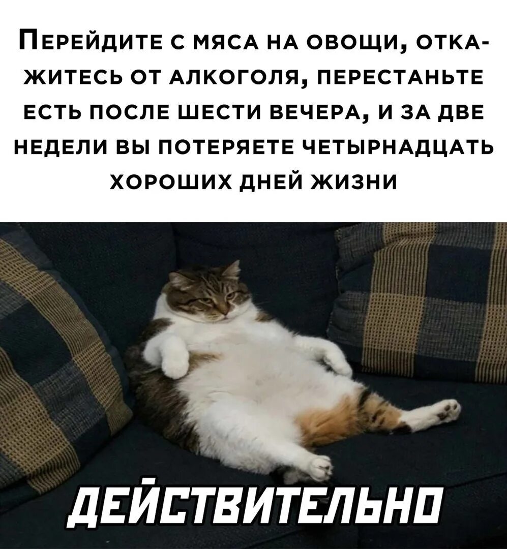 Потерять в 14