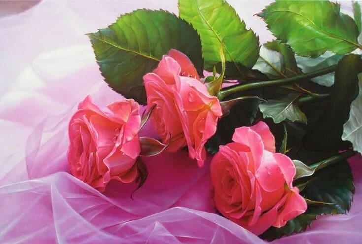 Картинки розы с красивыми пожеланиями Wallpaper Roses, 5k, 4k wallpaper, Flower bouquet, red, Nature #4107 Page 3