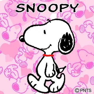 Snoopy перевод
