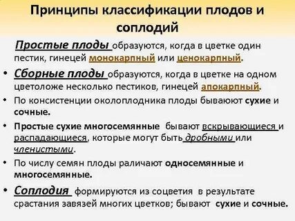 Простой плод это