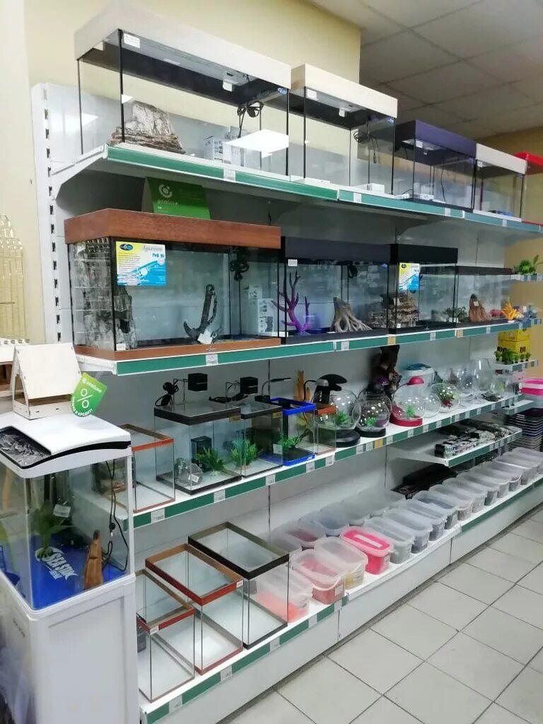 Золотая рыбка биробиджан. Шолом-алейхема, 12. Магазин золотая рыбка биробиджан каталог. Золотая рыбка биробиджан. Агентство развлечений золотая рыбка первоуральск.