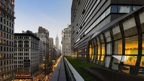 The new school