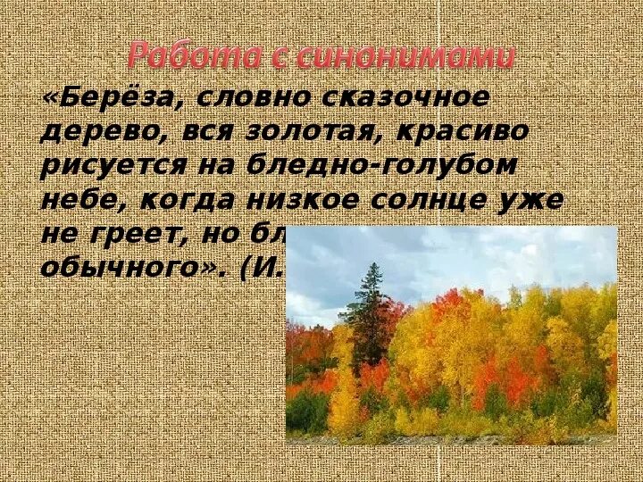 Описание осени. Сочинение на тему осень. Осень описание природы. Сочинение на тему Золотая осень. Текст описания осени