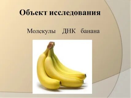Днк банана