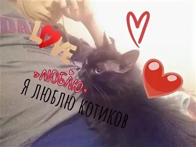 Папы 19 лет