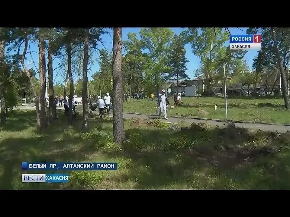 Прогноз яр