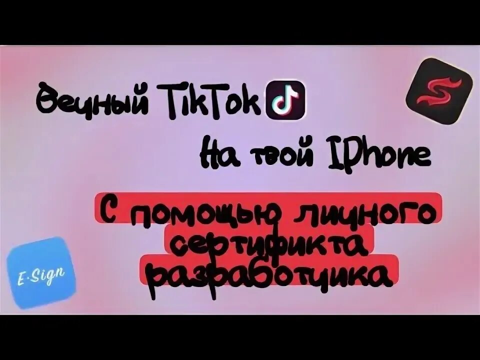 Личный сертификат тик ток. Вечный из ТИКТОК.