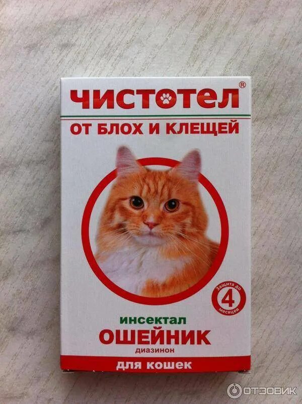 Можно ли мыть ошейник от блох. Ошейник от блох для кошек. ошейник против блох для кошек. ошейник против блох и клещей для кошек. ошейник от клещей для котят.