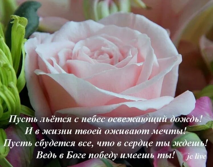 Дай бог сбудется