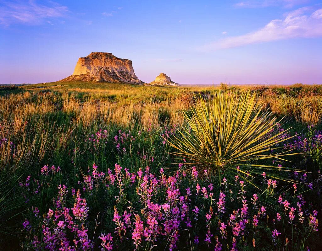 прерия где. прерии айдахо. климат прерии в северной америке. низкотравные прерии в северной америке. аризона прерия.