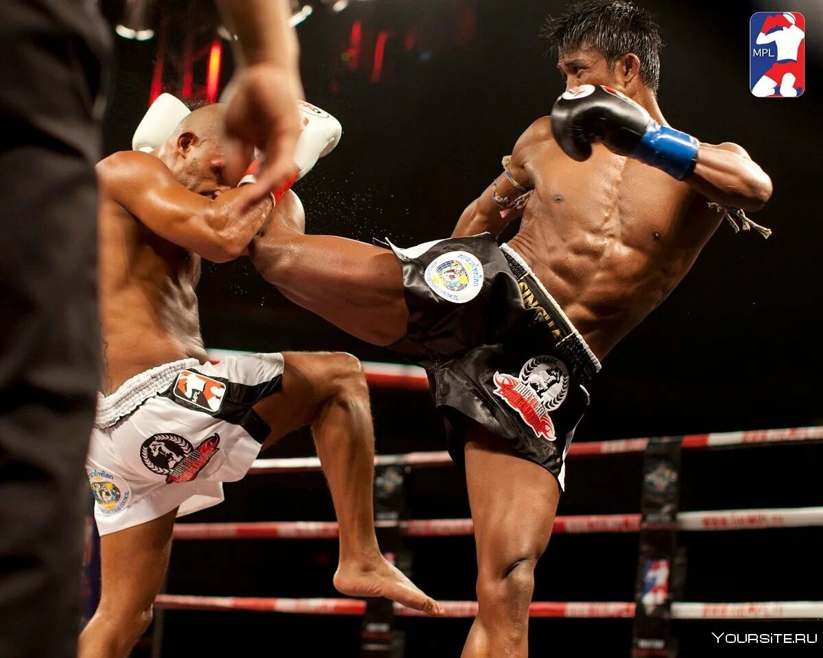 Кикбоксинг бойцы. Муай та1. Кикбоксинг ринг. Муай лао. Боец муай тай буакав.