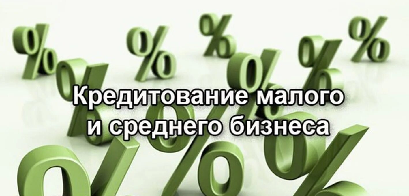 Льготные кредиты в беларуси на покупку. Кредиты для малого и среднего бизнеса. Льготное кредитование. Кредитование малого и среднего бизнеса. Льготного кредитования малого и среднего бизнеса.