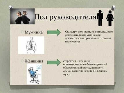 Описание руководителя
