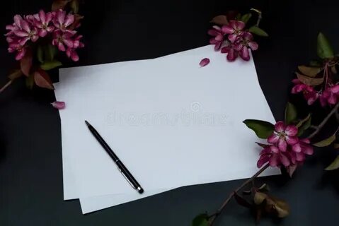Белый лист и ручка