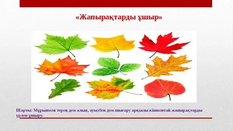 Лобнядағы тәжік жезөкшелері