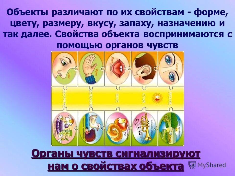 Отличить предметы